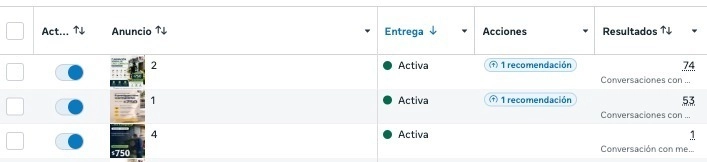 Resultados de campaña de fumigación en Facebook Ads